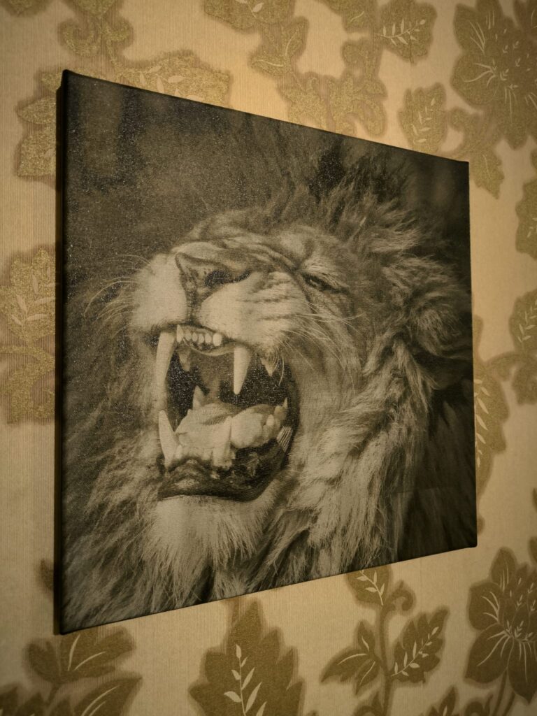 whatsappi pilt 2025 09 15 kell 22.48.00 f36272cd whatsappi pilt 2025 09 15 kell 22.48.00 f36272cd