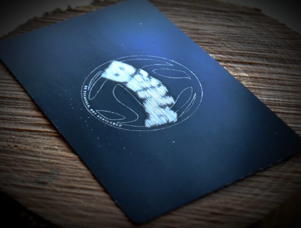 whatsappi pilt 2025 09 16 kell 21.10.36 d8c38b78 whatsappi pilt 2025 09 16 kell 21.10.36 d8c38b78